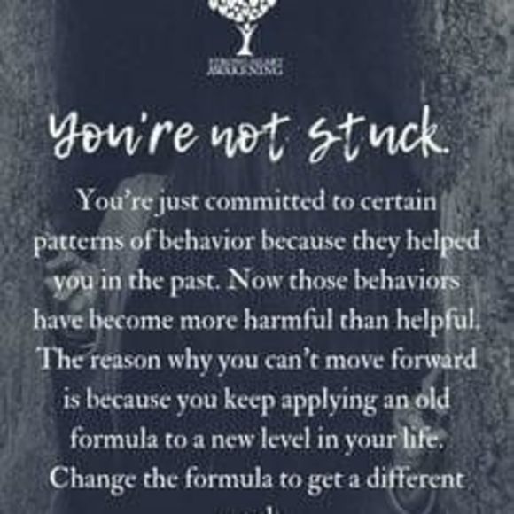 Meet your Posher, Dana - Picture 1 of 1